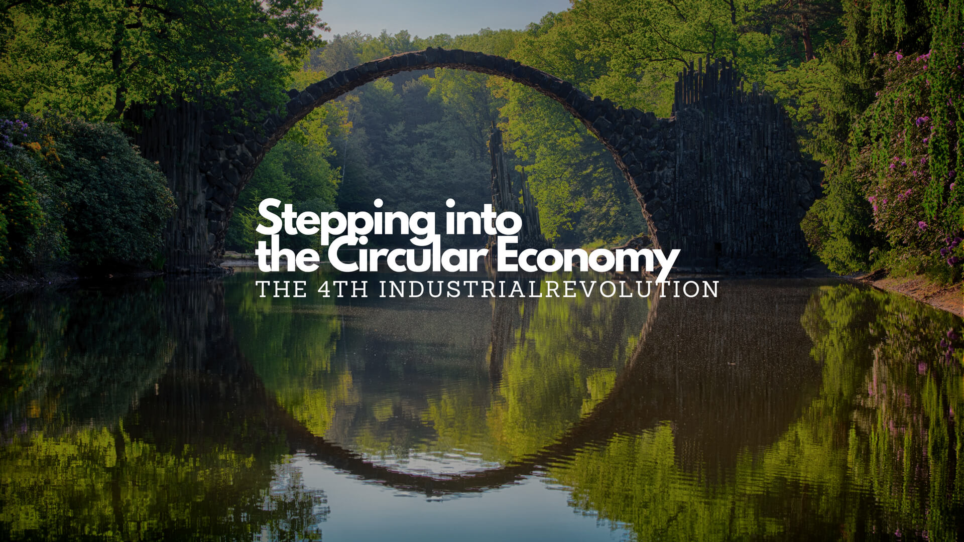 Stepping into the Circular Economy